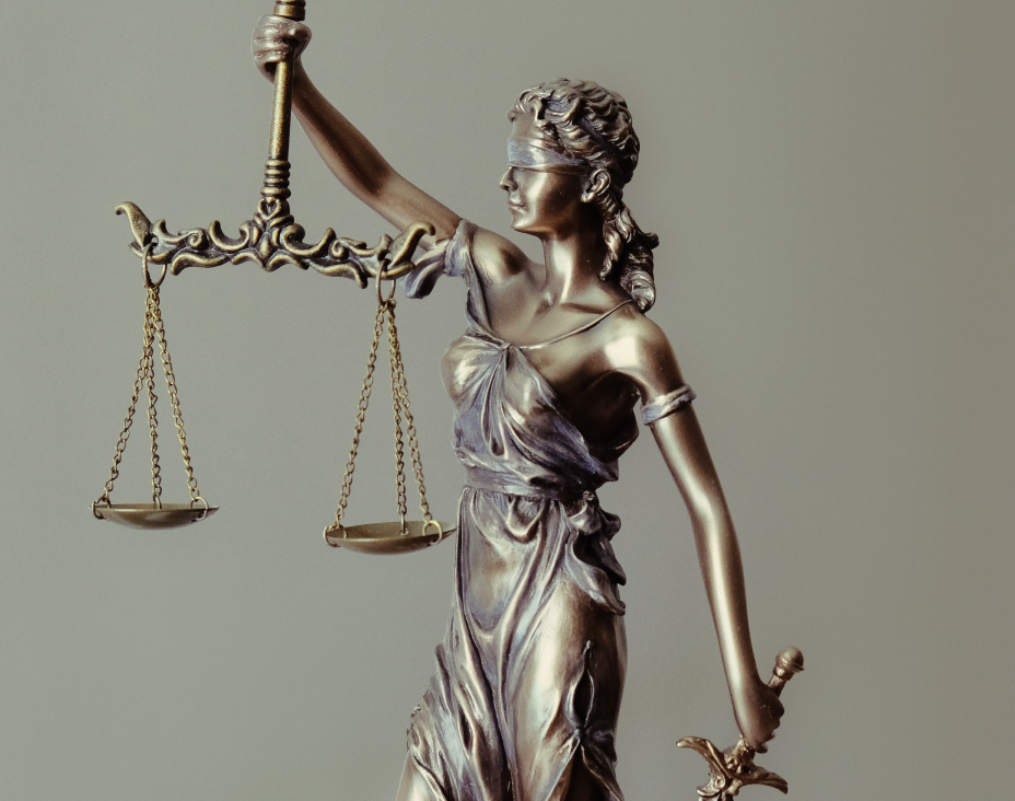 Paralegal services, judicial